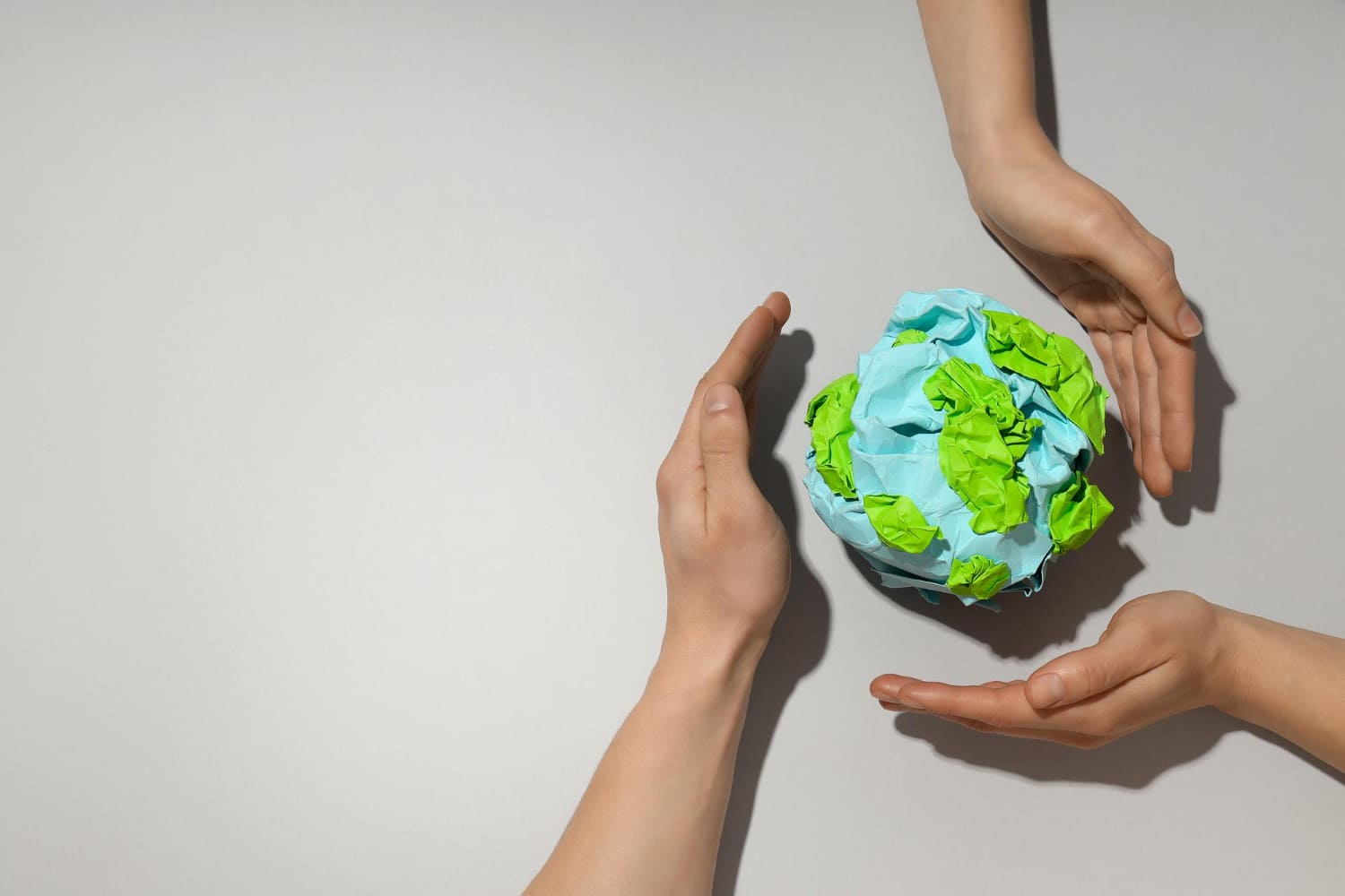 Proyecto de reforestacion