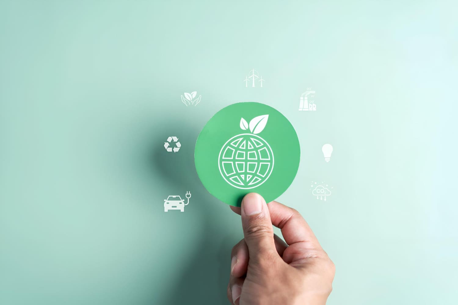 Proyecto de reforestacion