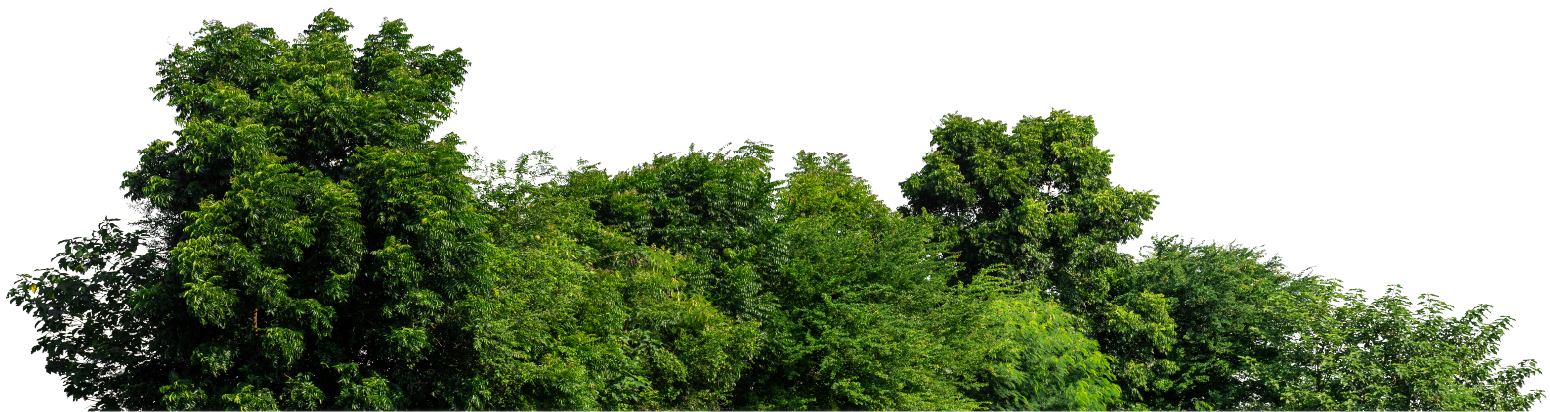header sustainability2