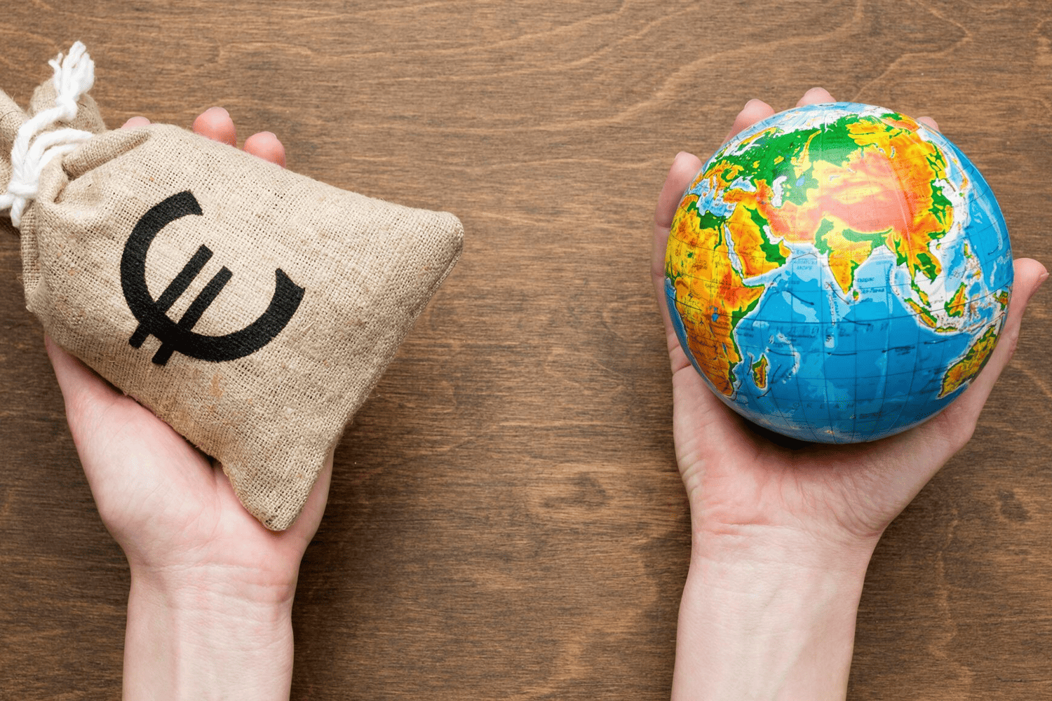 qué es la sostenibilidad económica